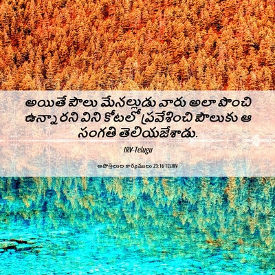 Picture 06 - అపొస్తలుల కార్యములు 23:16 TELIRV - అయితే పౌలు - Bible Verse Picture