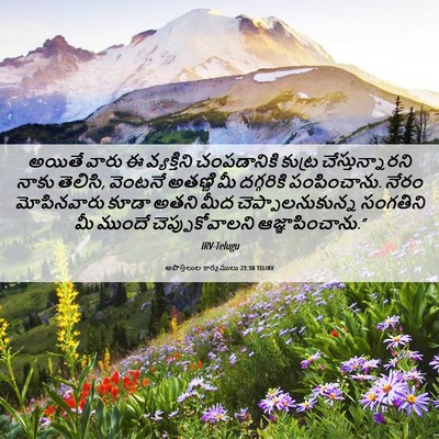 Picture 06 - అపొస్తలుల కార్యములు 23:30 TELIRV - అయితే వారు ఈ - Bible Verse Picture