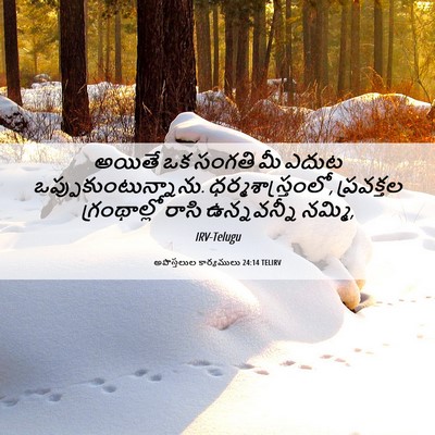 Picture 06 - అపొస్తలుల కార్యములు 24:14 TELIRV - అయితే ఒక సంగతి మీ - Bible Verse Picture