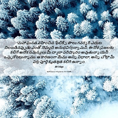 Picture 06 - అపొస్తలుల కార్యములు 24:3 TELIRV - “మహా ఘనత వహించిన - Bible Verse Picture