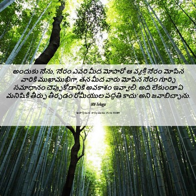 Picture 06 - అపొస్తలుల కార్యములు 25:16 TELIRV - అందుకు నేను, ‘నేరం - Bible Verse Picture