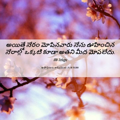 Picture 06 - అపొస్తలుల కార్యములు 25:18 TELIRV - అయితే నేరం - Bible Verse Picture