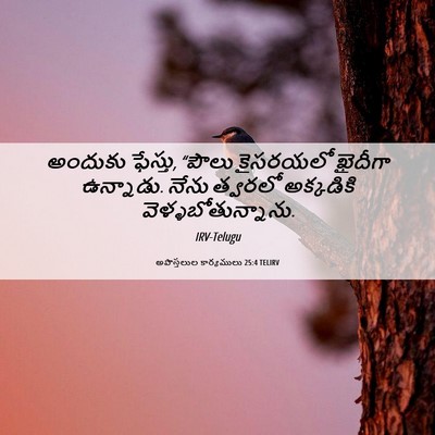 Picture 06 - అపొస్తలుల కార్యములు 25:4 TELIRV - అందుకు ఫేస్తు, - Bible Verse Picture