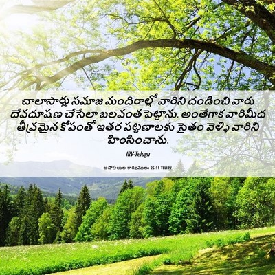 Picture 06 - అపొస్తలుల కార్యములు 26:11 TELIRV - చాలాసార్లు సమాజ - Bible Verse Picture