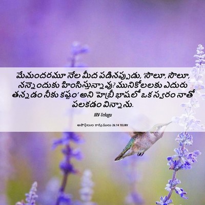 Picture 06 - అపొస్తలుల కార్యములు 26:14 TELIRV - మేమందరమూ నేల మీద - Bible Verse Picture
