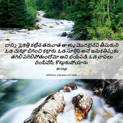Picture 06 - అపొస్తలుల కార్యములు 27:17 TELIRV - దాన్ని పైకెత్తి - Bible Verse Picture
