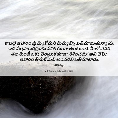 Picture 06 - అపొస్తలుల కార్యములు 27:34 TELIRV - కాబట్టి ఆహారం - Bible Verse Picture