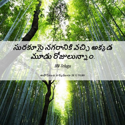 Picture 06 - అపొస్తలుల కార్యములు 28:12 TELIRV - సురకూసై నగరానికి - Bible Verse Picture