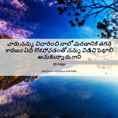 Picture 06 - అపొస్తలుల కార్యములు 28:18 TELIRV - వారు నన్ను - Bible Verse Picture