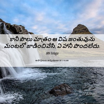 Picture 06 - అపొస్తలుల కార్యములు 28:5 TELIRV - కానీ పౌలు మాత్రం ఆ - Bible Verse Picture