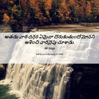 Picture 06 - అపొస్తలుల కార్యములు 3:5 TELIRV - అతడు వారి దగ్గర - Bible Verse Picture