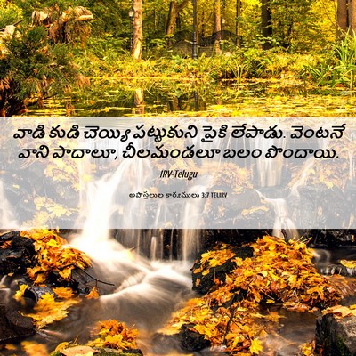 Picture 06 - అపొస్తలుల కార్యములు 3:7 TELIRV - వాడి కుడి చెయ్యి - Bible Verse Picture
