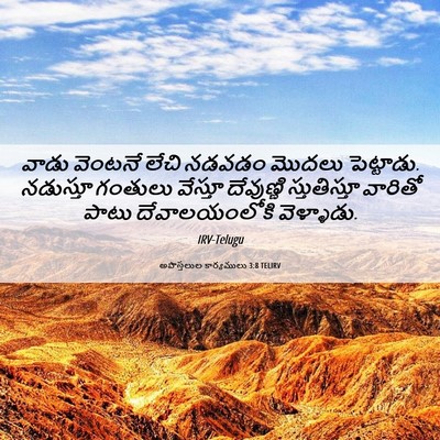 Picture 06 - అపొస్తలుల కార్యములు 3:8 TELIRV - వాడు వెంటనే లేచి - Bible Verse Picture