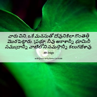 Picture 06 - అపొస్తలుల కార్యములు 4:24 TELIRV - వారు విని, ఒకే - Bible Verse Picture