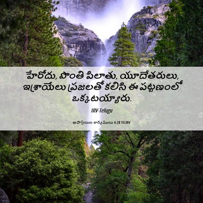 Picture 06 - అపొస్తలుల కార్యములు 4:28 TELIRV - హేరోదు, పొంతి - Bible Verse Picture