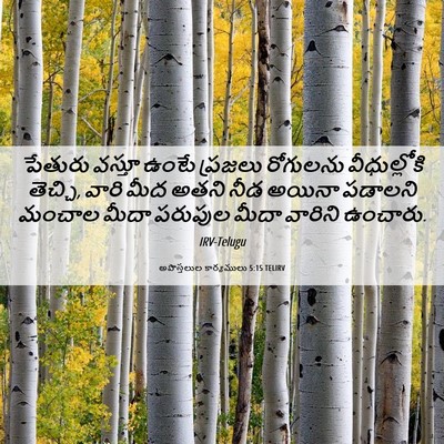 Picture 06 - అపొస్తలుల కార్యములు 5:15 TELIRV - పేతురు వస్తూ ఉంటే - Bible Verse Picture