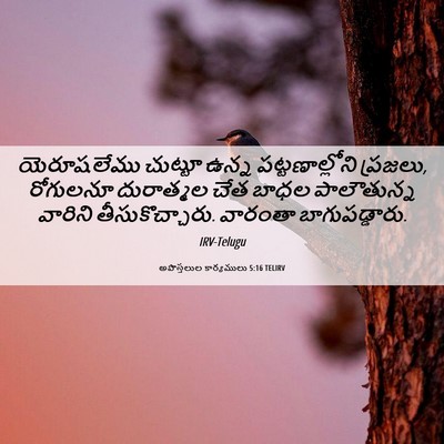Picture 06 - అపొస్తలుల కార్యములు 5:16 TELIRV - యెరూషలేము చుట్టూ - Bible Verse Picture