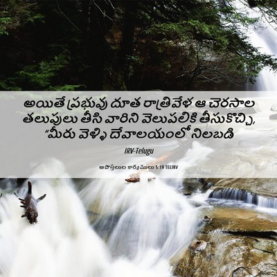 Picture 06 - అపొస్తలుల కార్యములు 5:19 TELIRV - అయితే ప్రభువు దూత - Bible Verse Picture