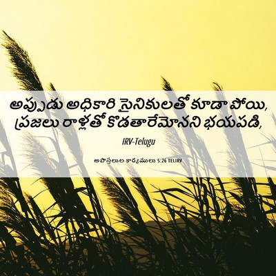 Picture 06 - అపొస్తలుల కార్యములు 5:26 TELIRV - అప్పుడు అధికారి - Bible Verse Picture