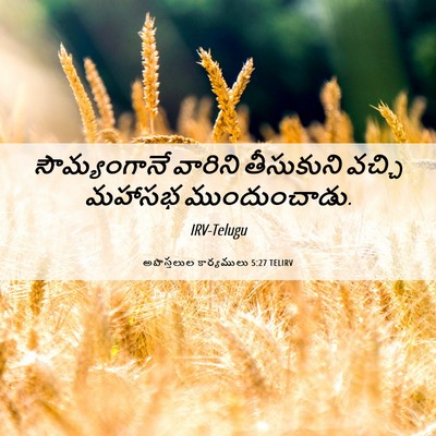 Picture 06 - అపొస్తలుల కార్యములు 5:27 TELIRV - సౌమ్యంగానే వారిని - Bible Verse Picture
