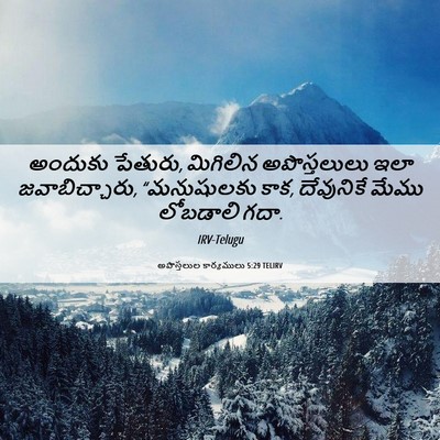 Picture 06 - అపొస్తలుల కార్యములు 5:29 TELIRV - అందుకు పేతురు, - Bible Verse Picture