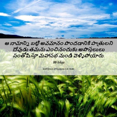 Picture 06 - అపొస్తలుల కార్యములు 5:41 TELIRV - ఆ నామాన్ని బట్టి - Bible Verse Picture