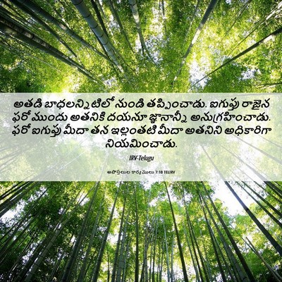 Picture 06 - అపొస్తలుల కార్యములు 7:10 TELIRV - అతడి బాధలన్నిటిలో - Bible Verse Picture