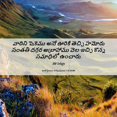 Picture 06 - అపొస్తలుల కార్యములు 7:16 TELIRV - వారిని షెకెము అనే - Bible Verse Picture