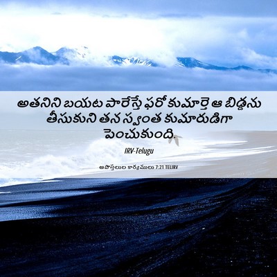 Picture 06 - అపొస్తలుల కార్యములు 7:21 TELIRV - అతనిని బయట - Bible Verse Picture
