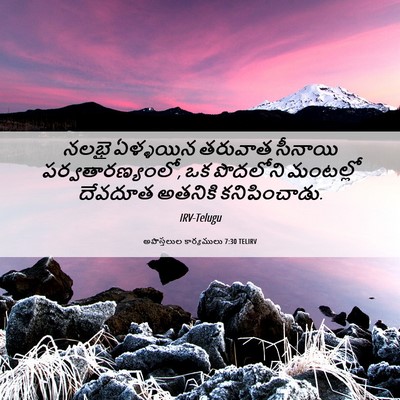 Picture 06 - అపొస్తలుల కార్యములు 7:30 TELIRV - నలభై ఏళ్ళయిన - Bible Verse Picture