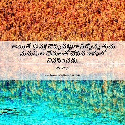 Picture 06 - అపొస్తలుల కార్యములు 7:48 TELIRV - “అయితే, ప్రవక్త - Bible Verse Picture