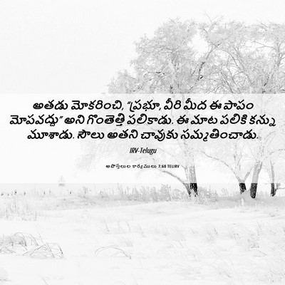 Picture 06 - అపొస్తలుల కార్యములు 7:60 TELIRV - అతడు మోకరించి, - Bible Verse Picture