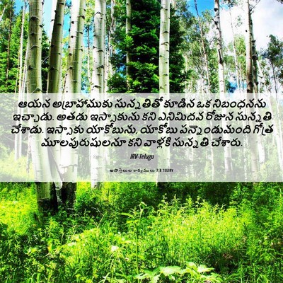 Picture 06 - అపొస్తలుల కార్యములు 7:8 TELIRV - ఆయన అబ్రాహాముకు - Bible Verse Picture