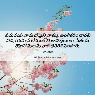 Picture 06 - అపొస్తలుల కార్యములు 8:14 TELIRV - సమరయ వారు దేవుని - Bible Verse Picture