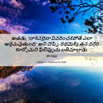 Picture 06 - అపొస్తలుల కార్యములు 8:31 TELIRV - అతడు, “నాకెవరైనా - Bible Verse Picture