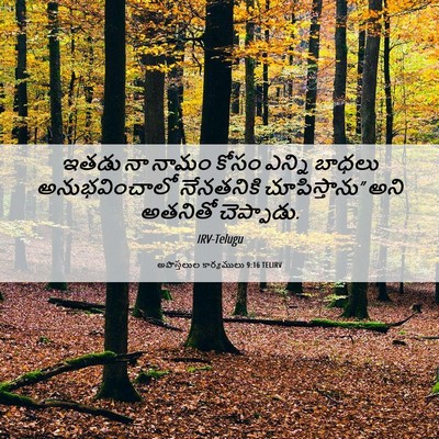 Picture 06 - అపొస్తలుల కార్యములు 9:16 TELIRV - ఇతడు నా నామం కోసం - Bible Verse Picture
