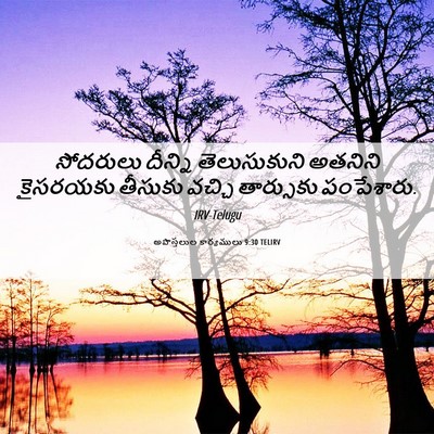 Picture 06 - అపొస్తలుల కార్యములు 9:30 TELIRV - సోదరులు దీన్ని - Bible Verse Picture