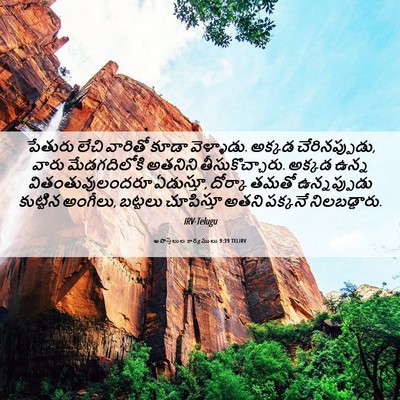 Picture 06 - అపొస్తలుల కార్యములు 9:39 TELIRV - పేతురు లేచి - Bible Verse Picture