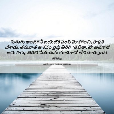 Picture 06 - అపొస్తలుల కార్యములు 9:40 TELIRV - పేతురు అందరినీ - Bible Verse Picture