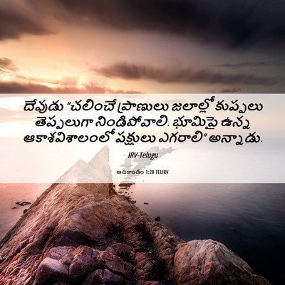 Picture 06 - ఆదికాండం 1:20 TELIRV - దేవుడు “చలించే - Bible Verse Picture