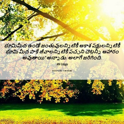 Picture 06 - ఆదికాండం 1:30 TELIRV - భూమిమీద ఉండే - Bible Verse Picture