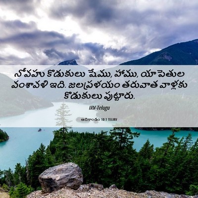 Picture 06 - ఆదికాండం 10:1 TELIRV - నోవహు కొడుకులు - Bible Verse Picture
