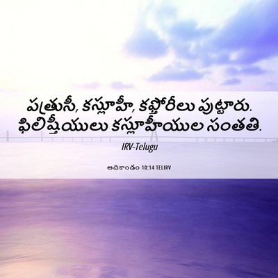 Picture 06 - ఆదికాండం 10:14 TELIRV - పత్రుసీ, కస్లూహీ, - Bible Verse Picture