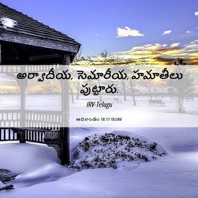 Picture 06 - ఆదికాండం 10:17 TELIRV - అర్వాదీయ, సెమారీయ, - Bible Verse Picture