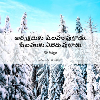 Picture 06 - ఆదికాండం 10:24 TELIRV - అర్పక్షదుకు షేలహు - Bible Verse Picture
