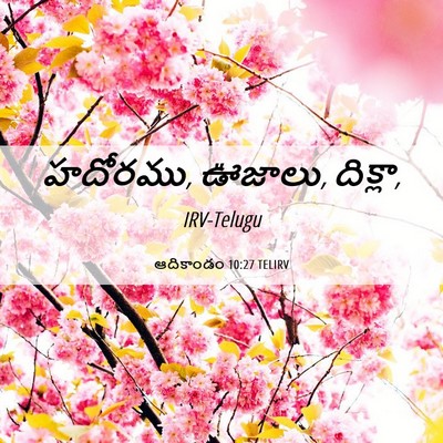 Picture 06 - ఆదికాండం 10:27 TELIRV - హదోరము, ఊజాలు, - Bible Verse Picture