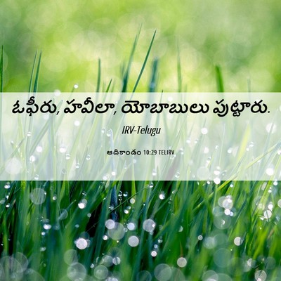Picture 06 - ఆదికాండం 10:29 TELIRV - ఓఫీరు, హవీలా, - Bible Verse Picture