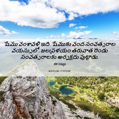 Picture 06 - ఆదికాండం 11:10 TELIRV - షేము వంశావళి ఇది. - Bible Verse Picture