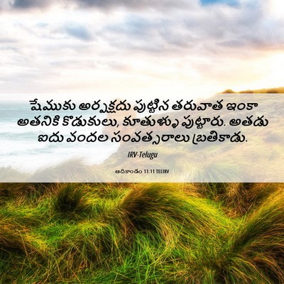 Picture 06 - ఆదికాండం 11:11 TELIRV - షేముకు అర్పక్షదు - Bible Verse Picture