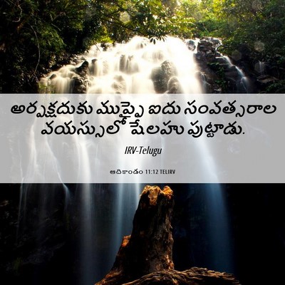 Picture 06 - ఆదికాండం 11:12 TELIRV - అర్పక్షదుకు - Bible Verse Picture